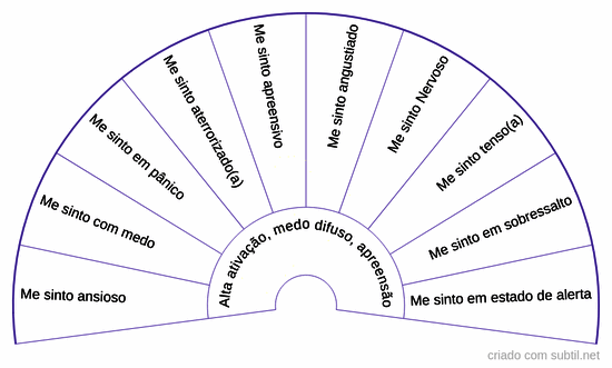 Identificação da ansiedade- granularidade emocional