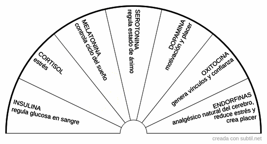 Hormonas reguladoras del cuerpo