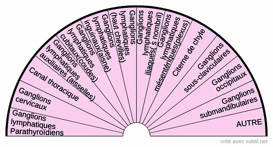 Ganglions vaisseaux lymphatiques système