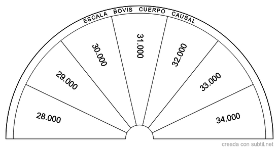 Escala bovis cuerpo causal 