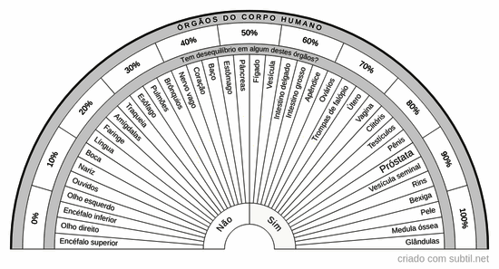 Órgãos do corpo humano