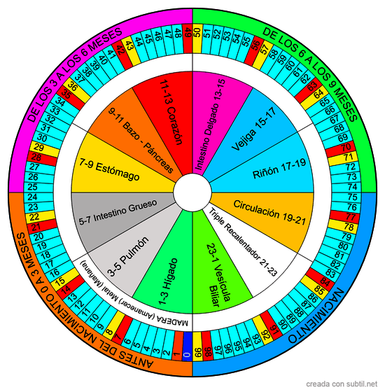 CICLOS DE VIDA