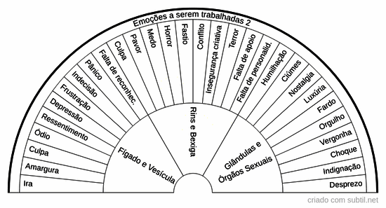 Emoções a serem trabalhadas 2