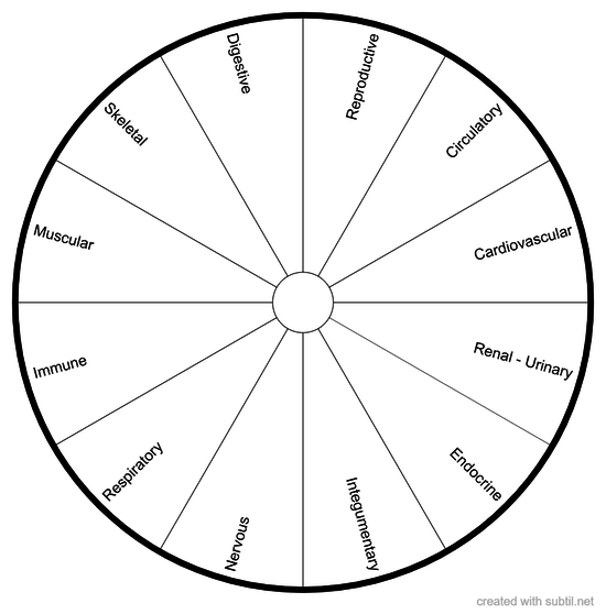 Human Bodily Systems