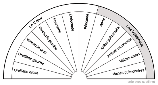 Système Cardio-vasculaire 