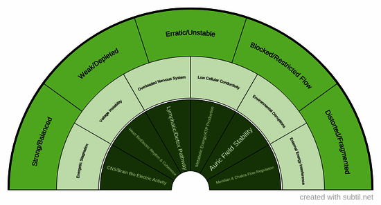 Bioelectric field alignment 1