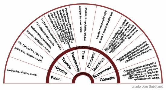Glândulas e hormônios 