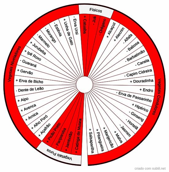 Vegetais chakra 1 = básico