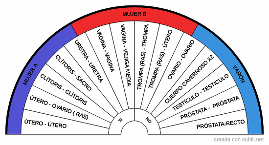 Par biomagnetismo - RegiÓn pelvis-sexo