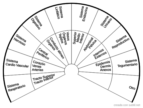 Sistemas del Cuerpo Humano
