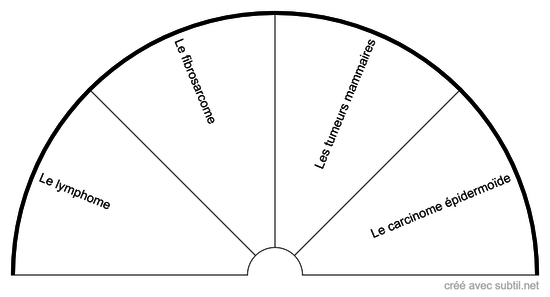 Les tumeurs et les cancers du chat