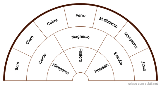 Nutrientes do Solo