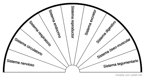 Sistemas cuerpo humano