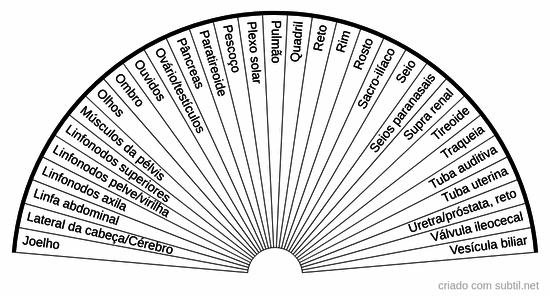 Reflexologia 2