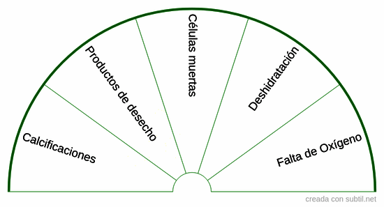 Correcciones en canal medular