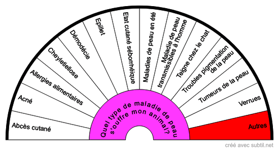 Les maladies de peau chez le CHAT