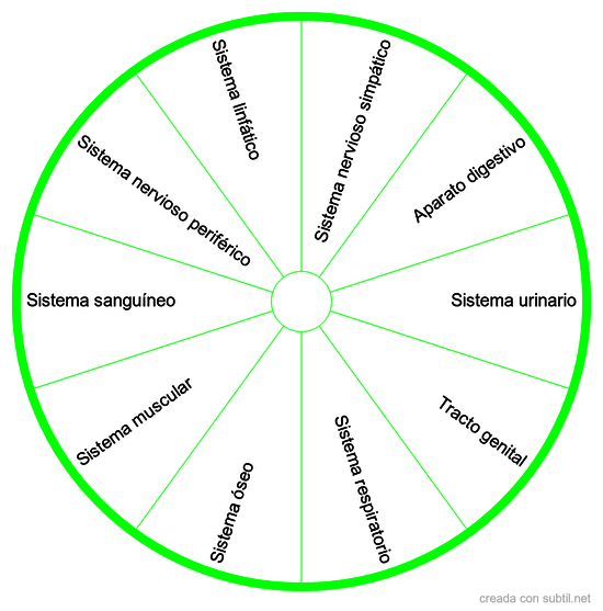 Tablero Anatomicos