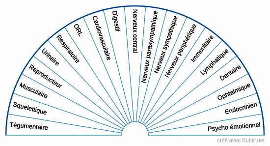 Systèmes corporel