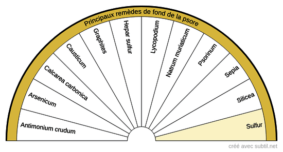 Diathèses homéopathiques - 3 (Psore)