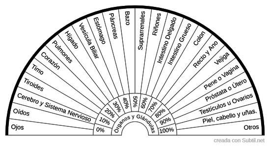 Órganos y Glándulas del Cuerpo Humano con Porcentaje