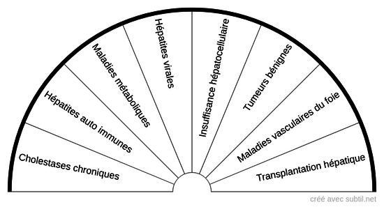 Les principales maladies du foie de l’enfant