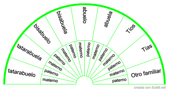 Constelaciones familiares