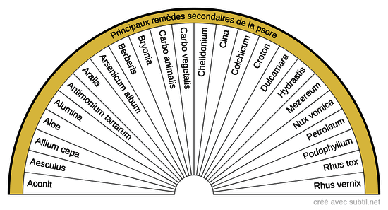 Diathèses homéopathiques - 4 (Psore)