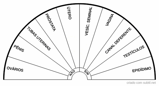 Sistema reprodutor 