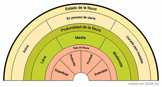 Plp-8d · fisuras y restauración del campo