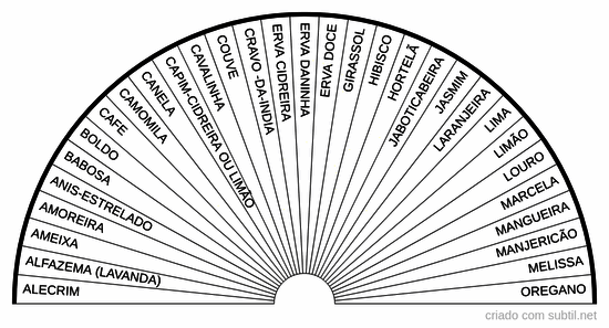 Ervas mornas ou equilibradoras reposição energetica