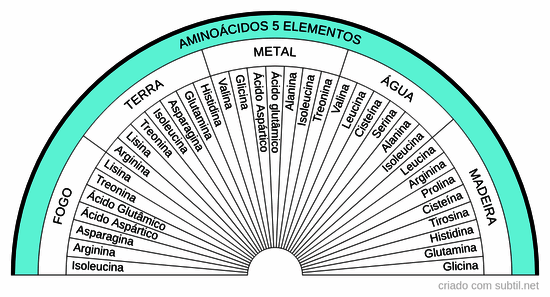Aminoácidos 5 elementos
