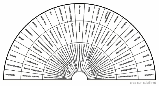 Piante ed erbe fitoterapiche 4
