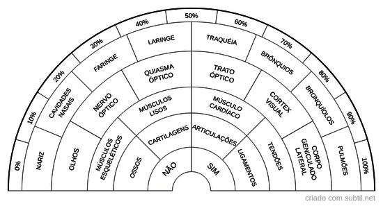 Órgãos sist. respiratório, visual, muscular e esquelético