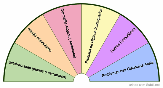 Possíveis causas coceiras em pets