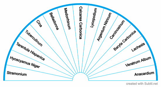 Homeopathy for executive functioning problems