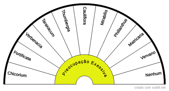 Grupo da Preocupação Excessiva