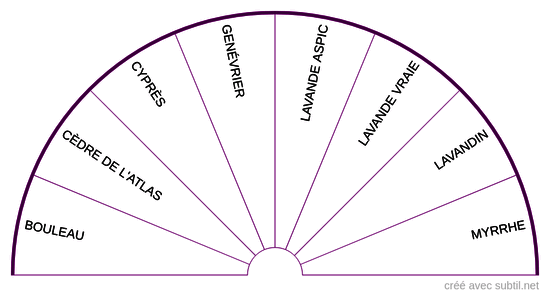 Huiles essentielles - 7ème Chakra