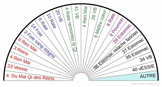 Jambes lourdes varices - Points d'acupunctures