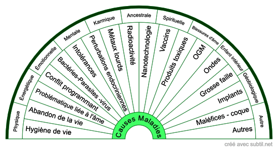 MALADIE (causes possibles) v2