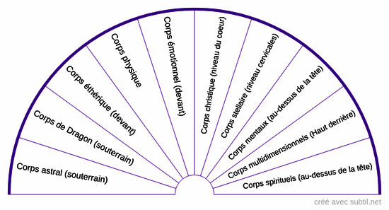 Les differents corps