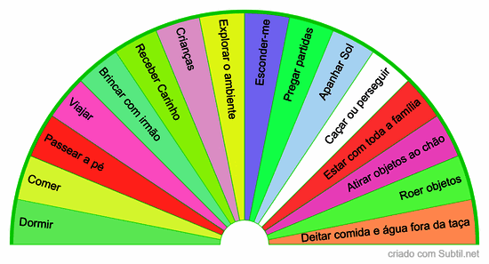 Atividades favoritas (cães e gatos)