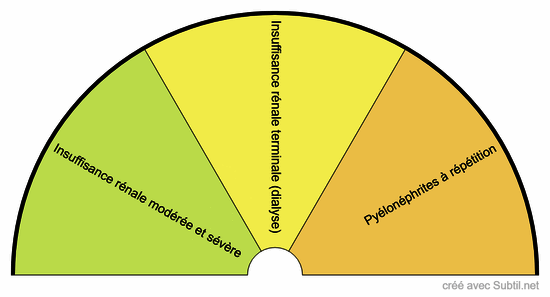 Maladies rénales