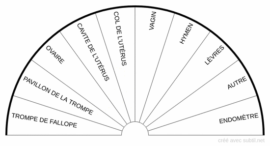 Appareil genital feminin