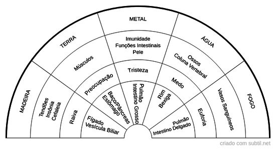 Aurículoterapia - cinco elementos/energias