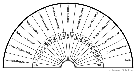 Principaux organes du corps humain