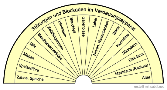 Störungen und Blockaden im Verdauungsapparat