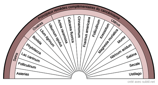 Diathèses homéopathiques - 12 D (Cancérinisme)