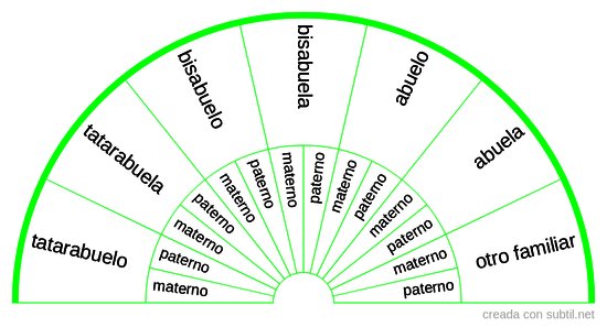 Constelaciones familiares