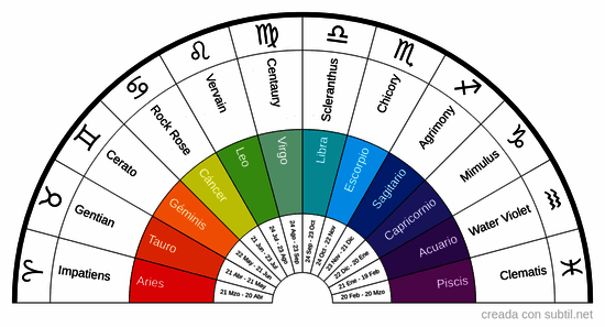 Los 12 curadores de Bach