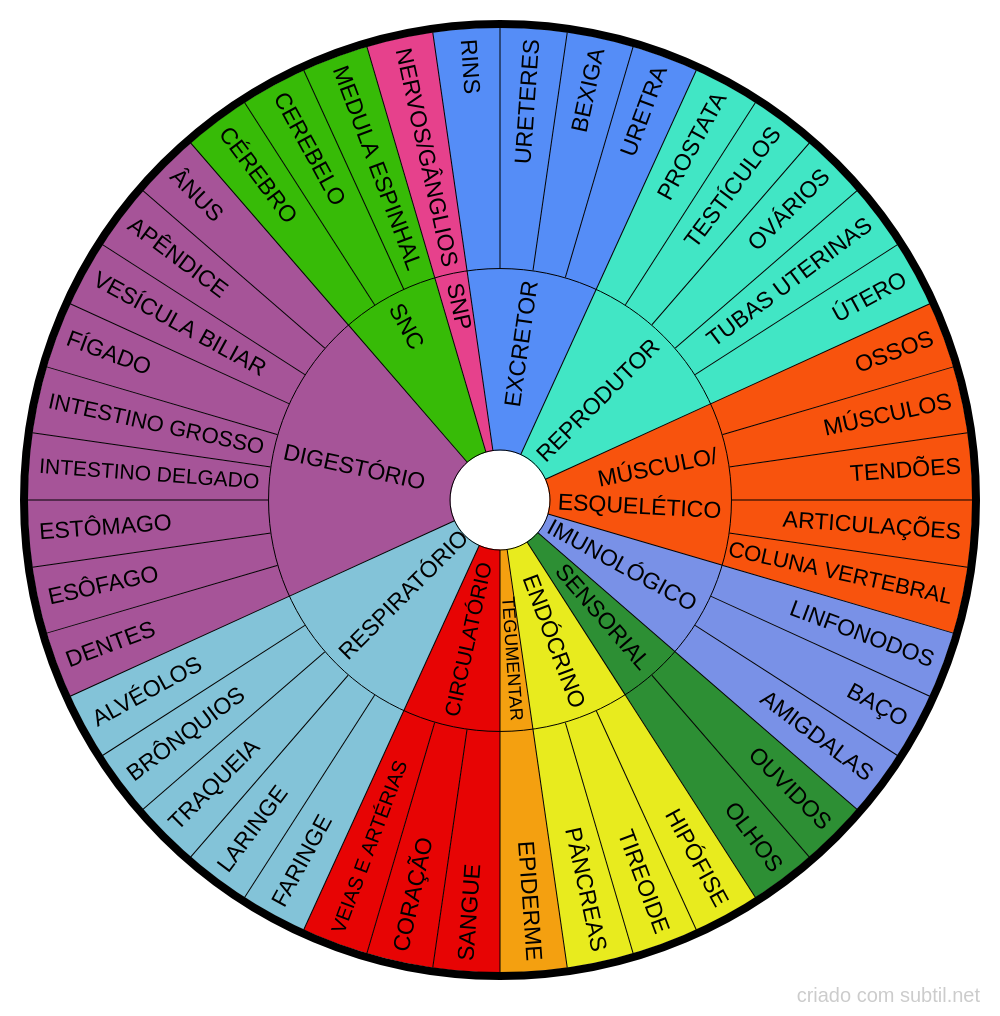 Órgaos e sistemas